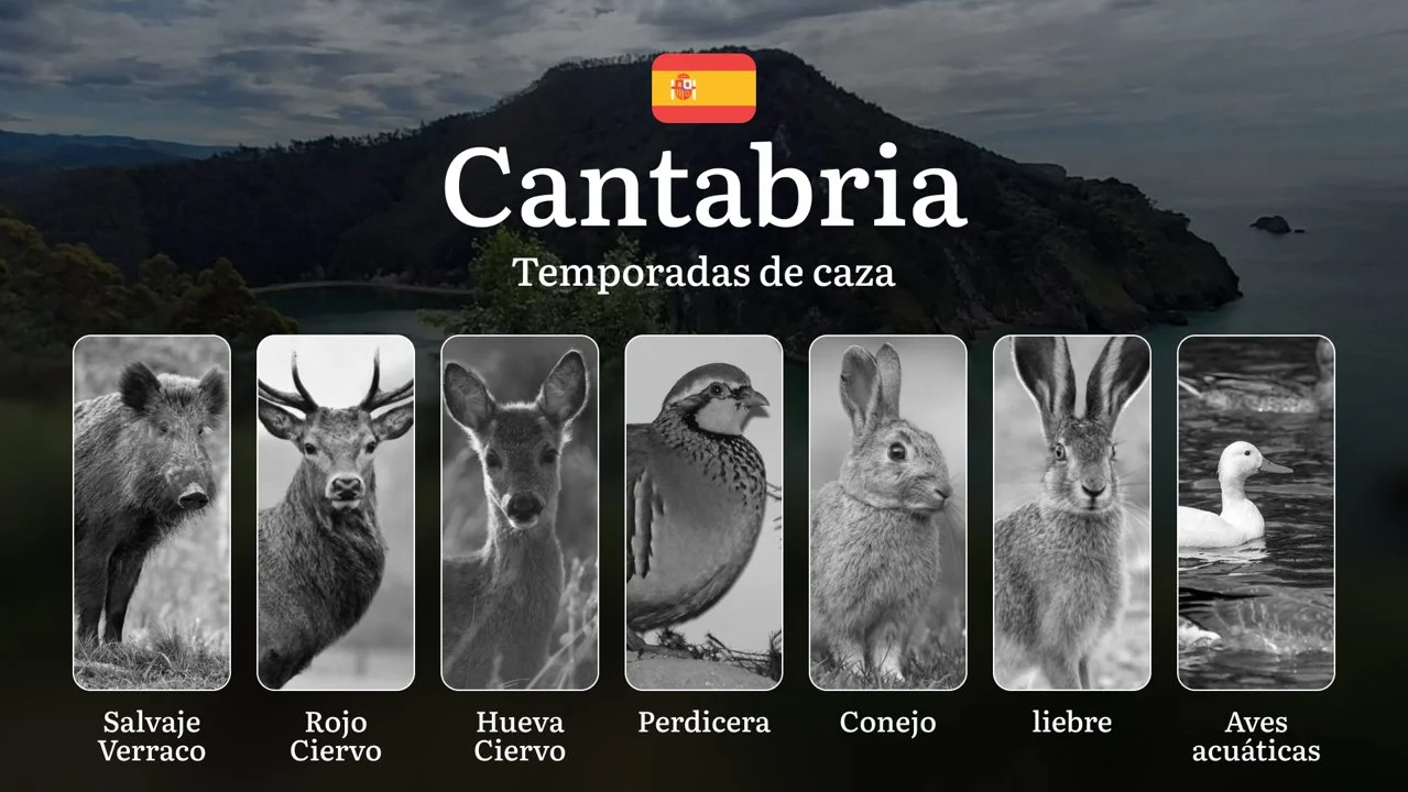 Caza en CANTABRIA: Temporadas y períodos de caza, Licencias y Mejores Épocas para Disfrutar de la Caza Responsable
Cantabria, con sus paisajes montañosos, frondosos bos