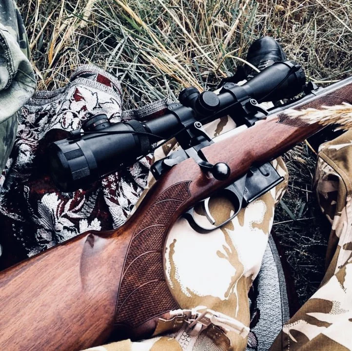 Карабин CZ 527 — обзор, характеристики, калибры, модификации, баллистика, отзывы охотников и стрелков