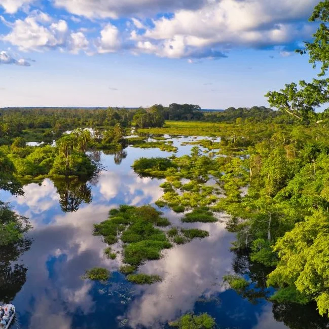 What Comes Next for the Global Pledge to Halt Congo Basin Deforestation?

For generations, Copince Ngoma of the Bakouele Indigenous community has depended on the dense, g