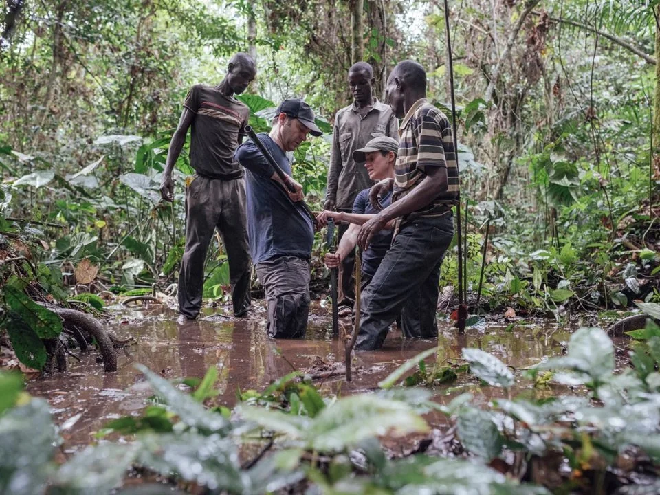 Hunting in Cuvette: River Systems and Wetlands, Local Hunting Communities, and Wildlife Diversity

Hunting in Cuvette region offers a deep connection to Central African w