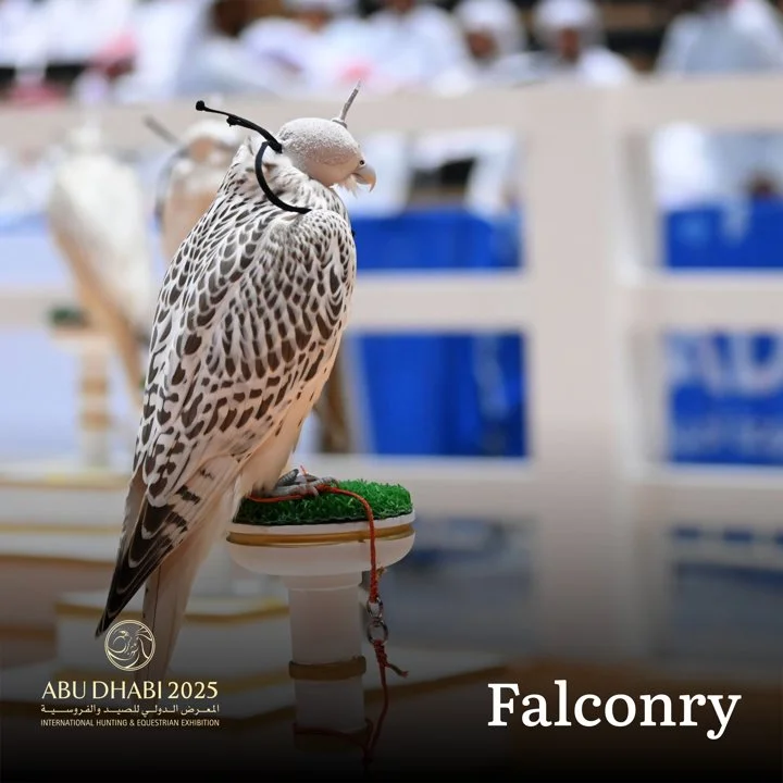 Falconry ADIHEX 2025, Abu Dhabi: Hunting Expo Sector Information and Photo