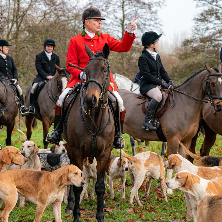 Massive Boxing Day Crowds Signal Defiance as Fight for Legal Hunting Intensifies
Tens of thousands across the United Kingdom turned out for Boxing Day trail hunts, showi