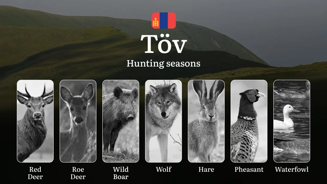 Hunting Periods and Permits in Töv Province: A Detailed Look at Game Movement Throughout the Year, Seasonal Limits, and…