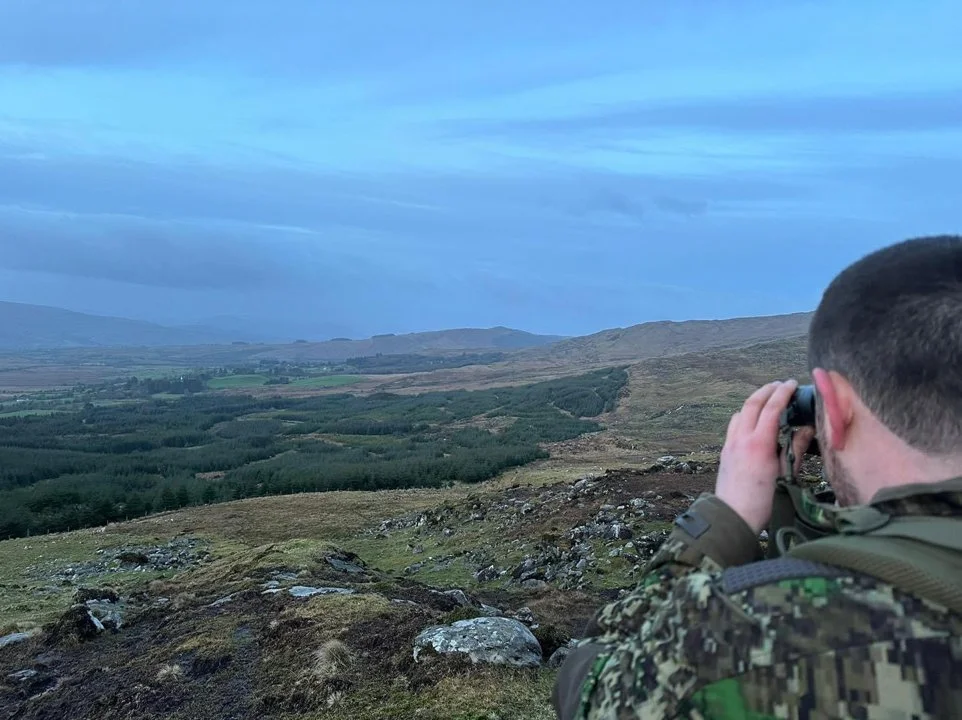 A week on the Killarney area of western Ireland, taking as many Sika females as possible before the end of the season, as they are now, in the view of some, in far too h