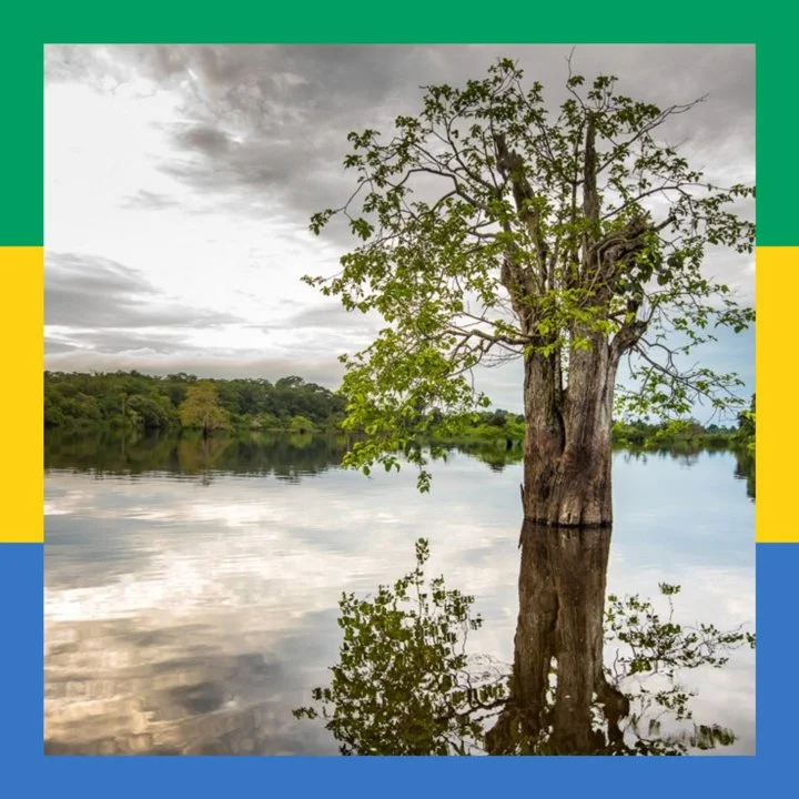 Gabon: all about hunting and fishing, news, forum. avatar