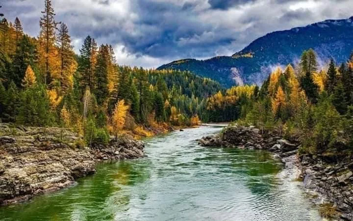 Montana! Montana!