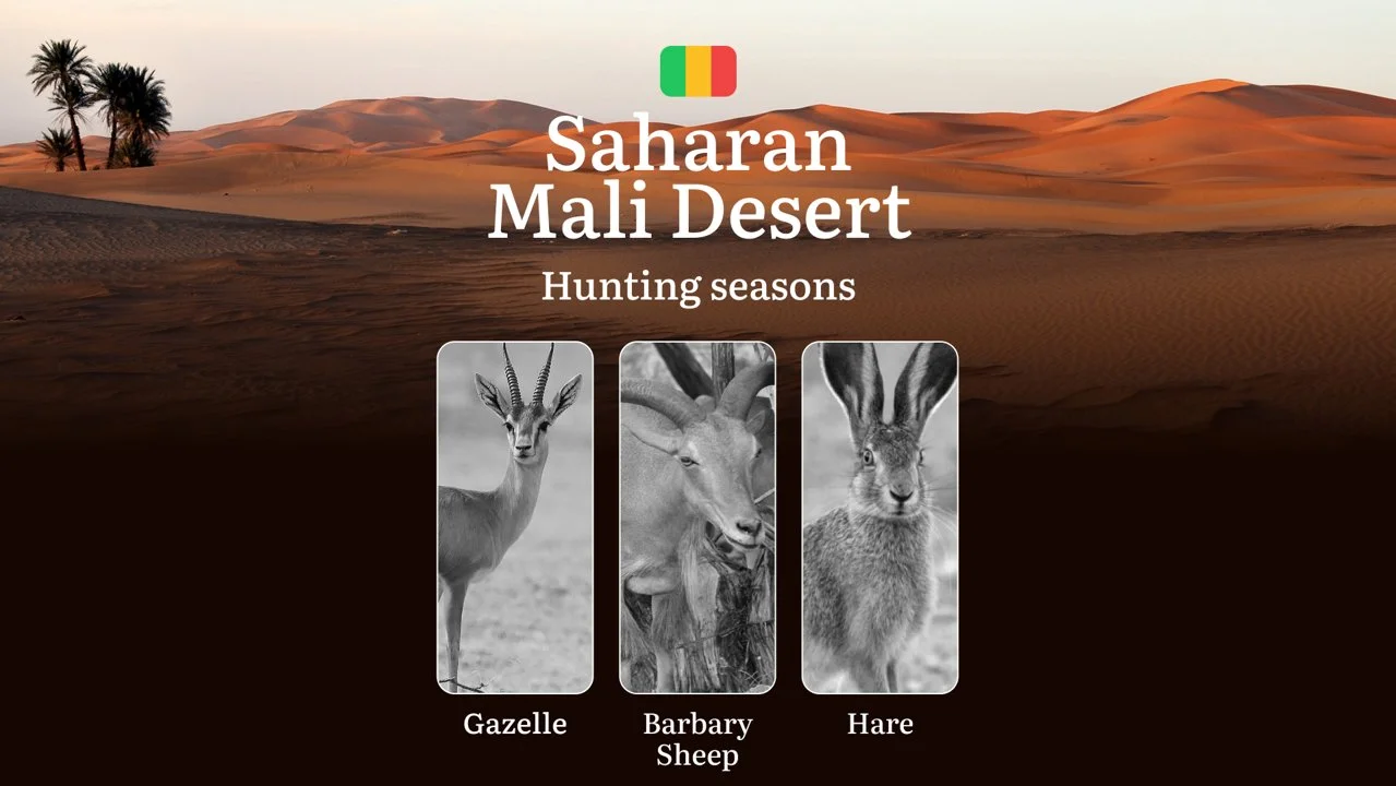 Hunting Seasons in Mali Desert: Regional Regulations, Obtaining a Hunting License in the Region, Penalties for Violating Hunting Periods, Tips for Timing, Gear, and Hunti