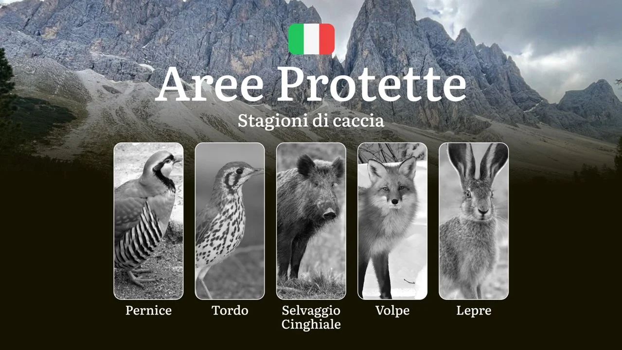 Ai Confini delle Aree Protette: Calendario di Caccia con Date e Zone Consentite
Le aree protette italiane , che comprendono parchi nazionali, regionali, riserve naturali