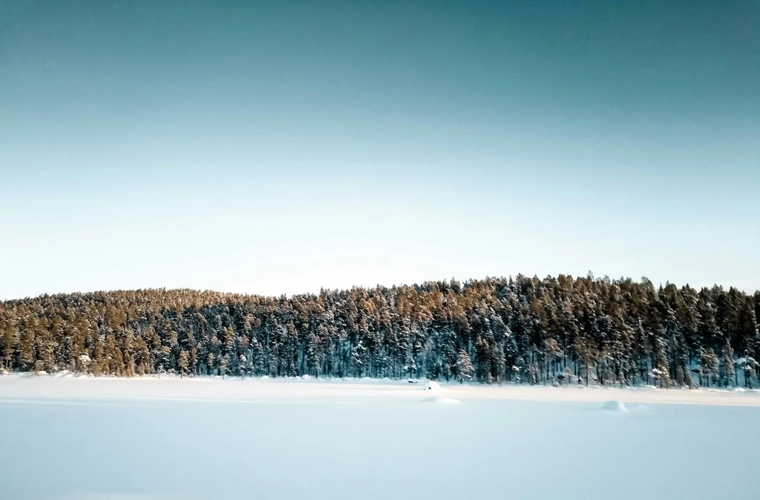 Inari Hunting Explained: Seasons, Laws and Legislation, Demographics, Clubs, and Interesting Facts

Nestled in the heart of Finnish Lapland, Inari is a hunter’s paradise 
