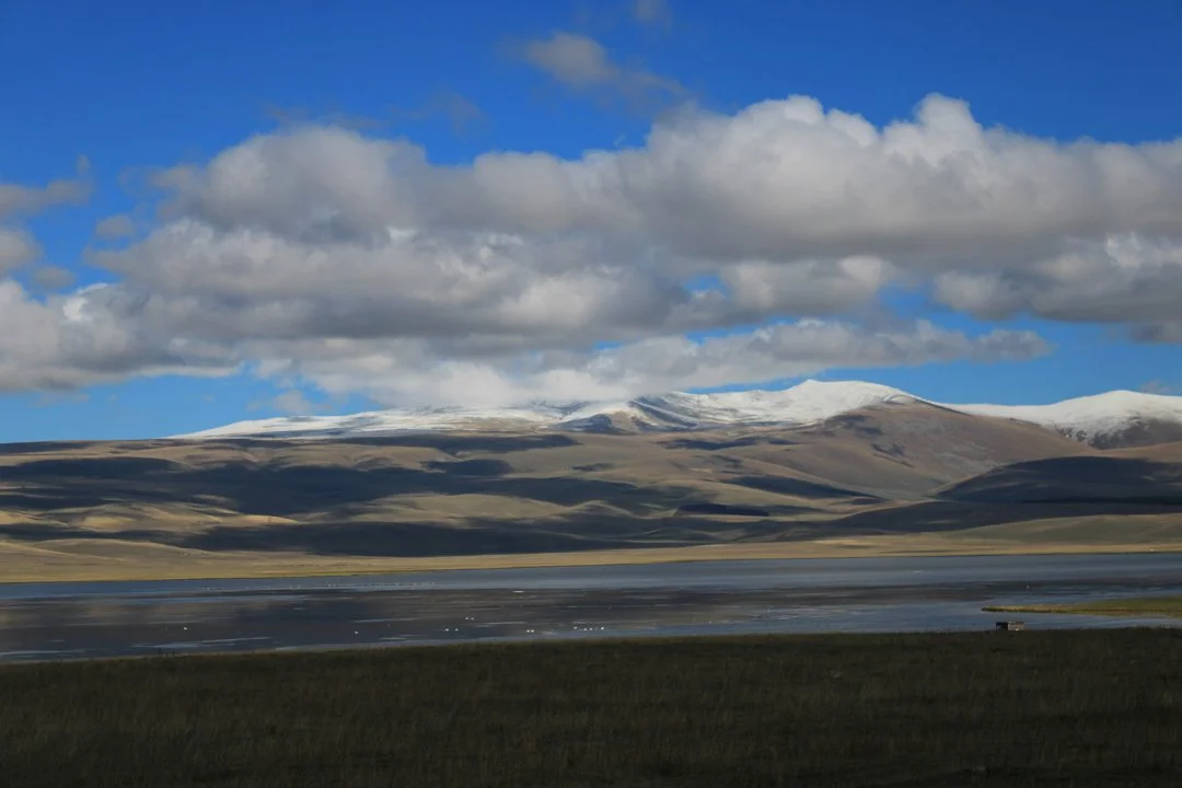 Why Khovd Province is a Top Destination for Hunting Enthusiasts, Demographics, Associations and Clubs, Laws and Hunting…
