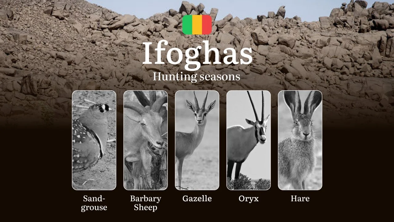 Hunting Seasons in Ifoghas: Regional Regulations, Obtaining a Hunting License in the Region, Penalties for Violating Hun…