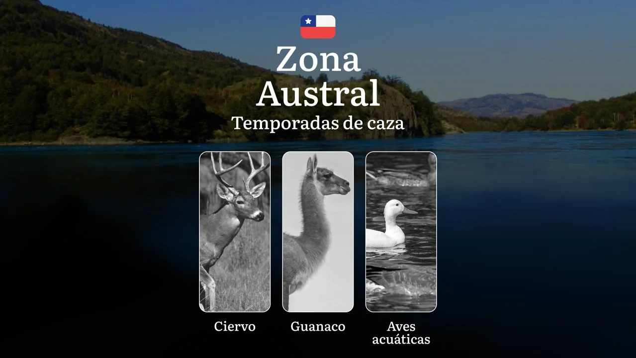 Plazos de caza en Chile, región de La Zona Austral: Temporadas, normativa y licencias, Características de la regulación, Particularidades estacionales

Características de