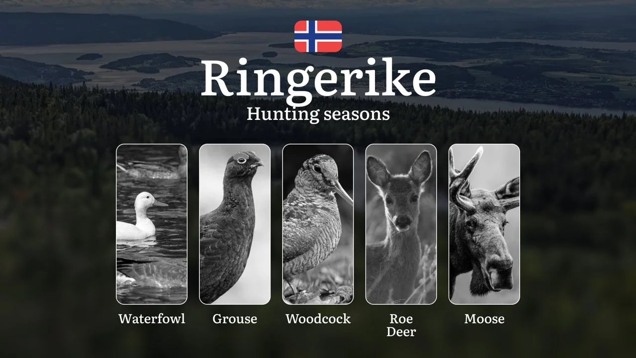 Hunting Dates in Ringerike: Seasonality of Hunting, Timing and Regulations, Hunting Permits, Restrictions and Prohibitions