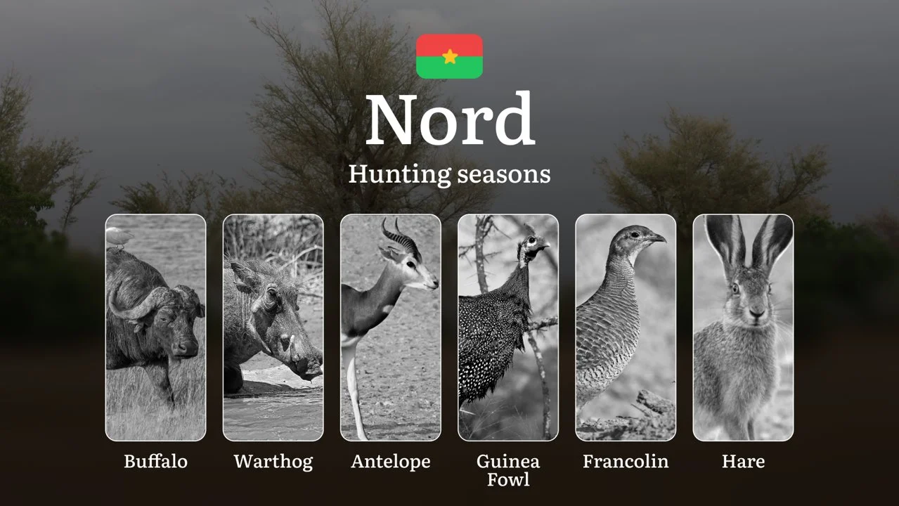 Hunting Seasons in NORD: Key Dates, General Rules, Obtaining Hunting Licenses, Restrictions and Protected Species

Hunting in the Nord region of Burkina Faso offers a uni
