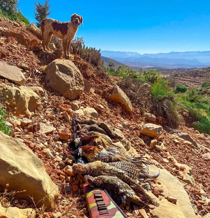 T.L. Chasse Hunting Club in Morocco (TLChasse)