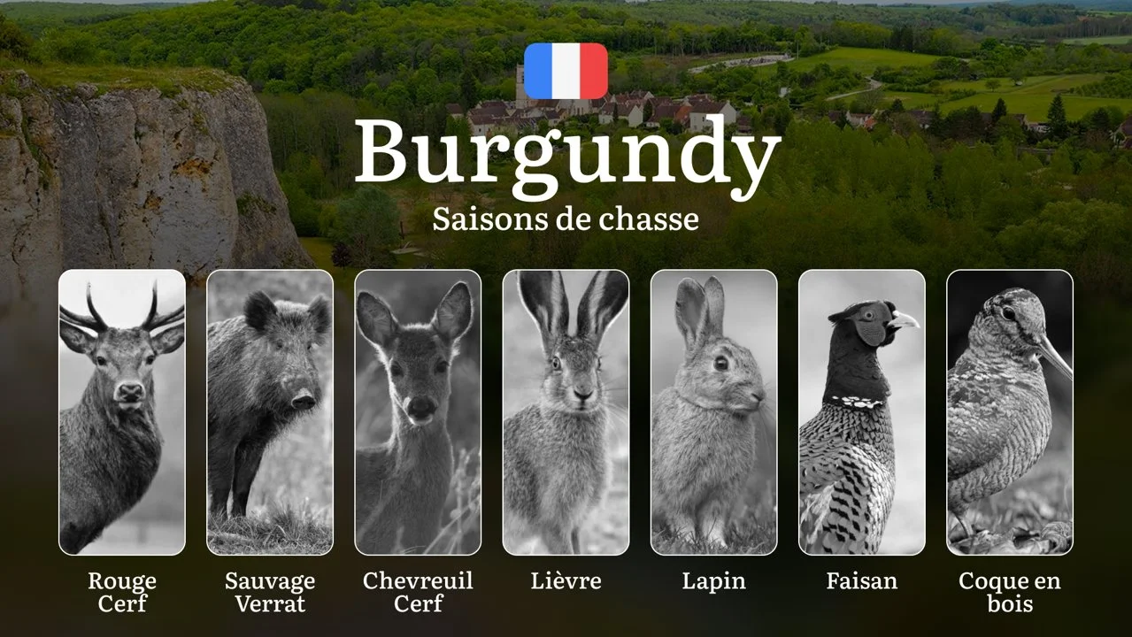 Saisons de Chasse en BOURGOGNE: Calendrier de la Chasse , Règles Générales,  Périodes Clés, Restrictions à Respecter  et Obtention des Permis et Licences

La Bourgogne, a