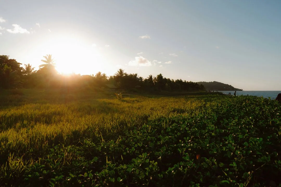 Chasse en GUYANE: Reliefs forestiers, traditions locales, réglementation cynégétique et faune tropicale

La Guyane française est une région unique qui attire les amateurs