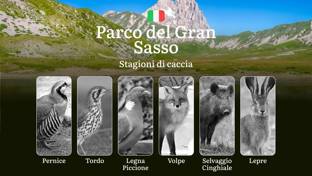 Tra il Gran Sasso e i Monti della Laga: Calendario Venatorio con Date e Aree Autorizzate
Il Parco Nazionale del Gran Sasso e Monti della Laga , esteso tra Abruzzo, March