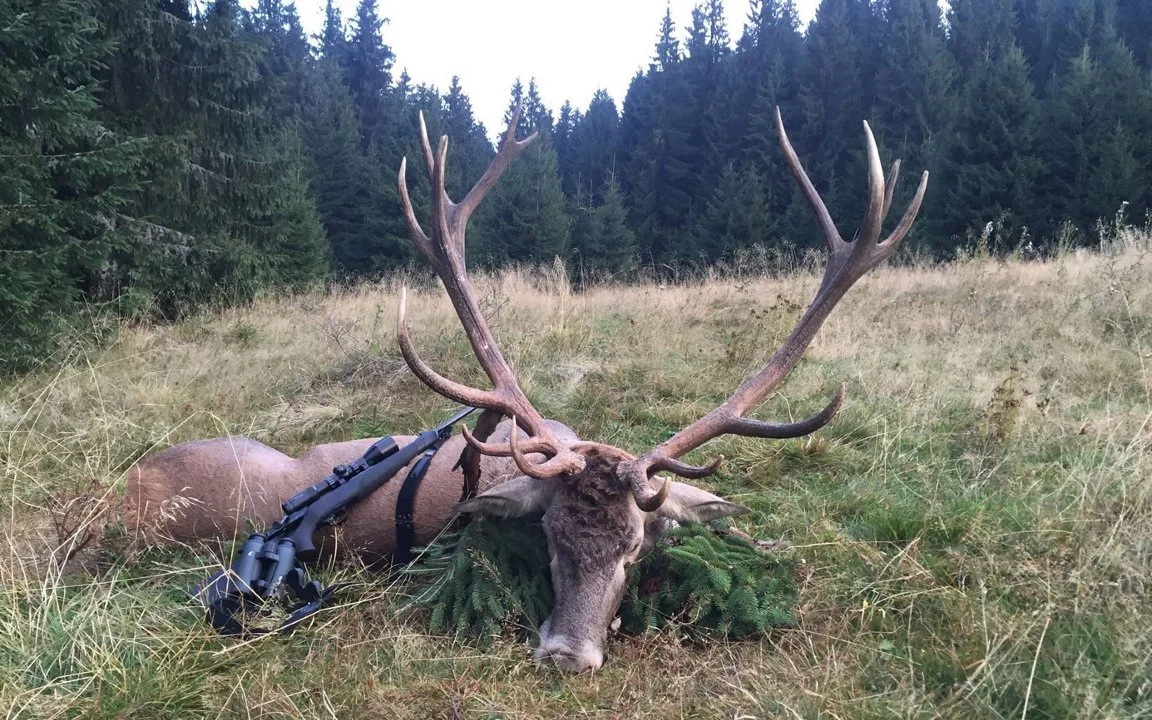Jagd im Bezirk Veveyse (Kanton Freiburg), Schweiz: Geografische Besonderheiten, Einheimische, Jagdtechniken, Wildvorkomm… Jagd im Bezirk Veveyse (Kanton Freiburg), Schweiz: Geografische Besonderheiten, Einheimische, Jagdtechniken, Wildvorkomm…