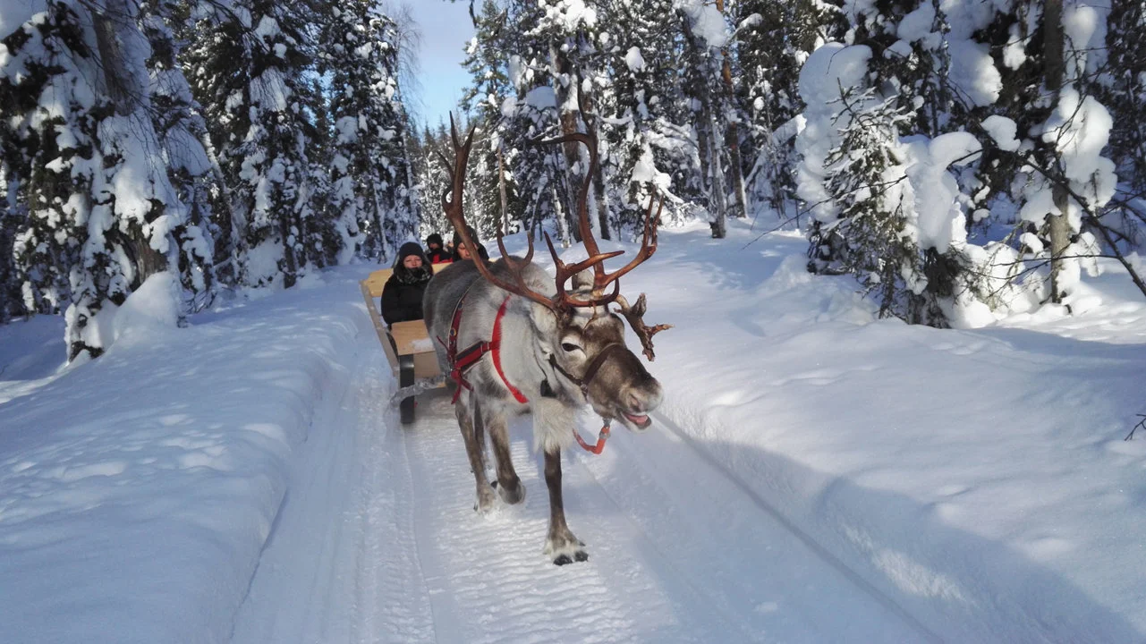 Exploring Fell Lapland Hunting: Geography, Clubs and Communities, Hunters, Legislation, and Unique Traditions