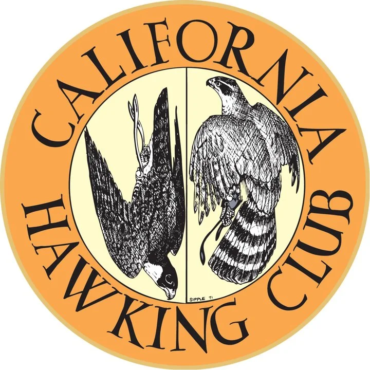 The California Hawking Club was formed in 1971 by a small group of dedicated falconers to preserve and promote the publi…
