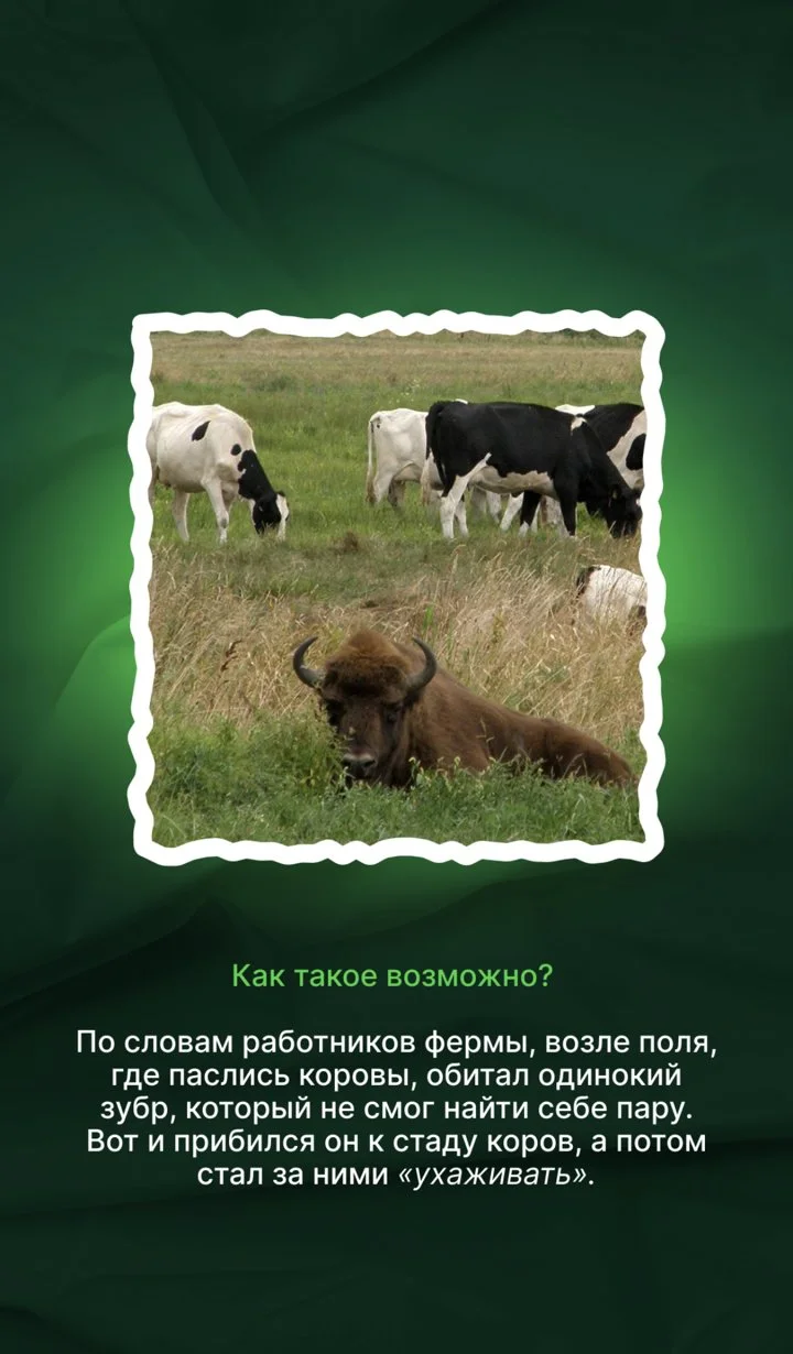 ecocity added 5 photo