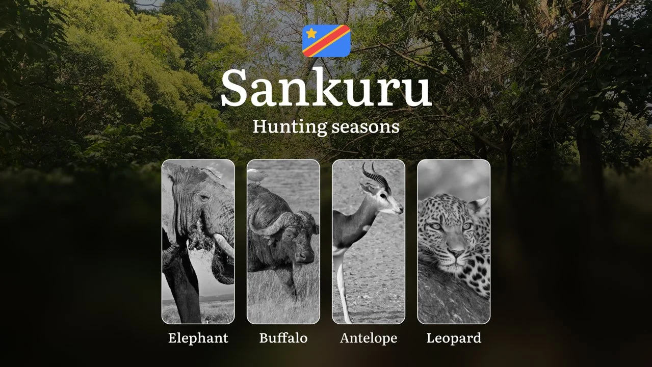 Hunting Calendar for Sankuru (DRC): Regional Hunting Rules, Licensing Procedures, Off-Season Violation Penalties, and St…