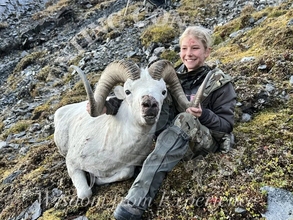 Die Jagd im Bezirk Wels Land: Zeitfenster, Details, Topographie, Aktivitäten, jagdbare Arten, Praxis, Vorschriften, Organisationen, Bräuche Die Jagd im Bezirk Wels Land: Zeitfenster, Details, Topographie, Aktivitäten, jagdbare Arten, Praxis, Vorschriften, Organisationen, Bräuche