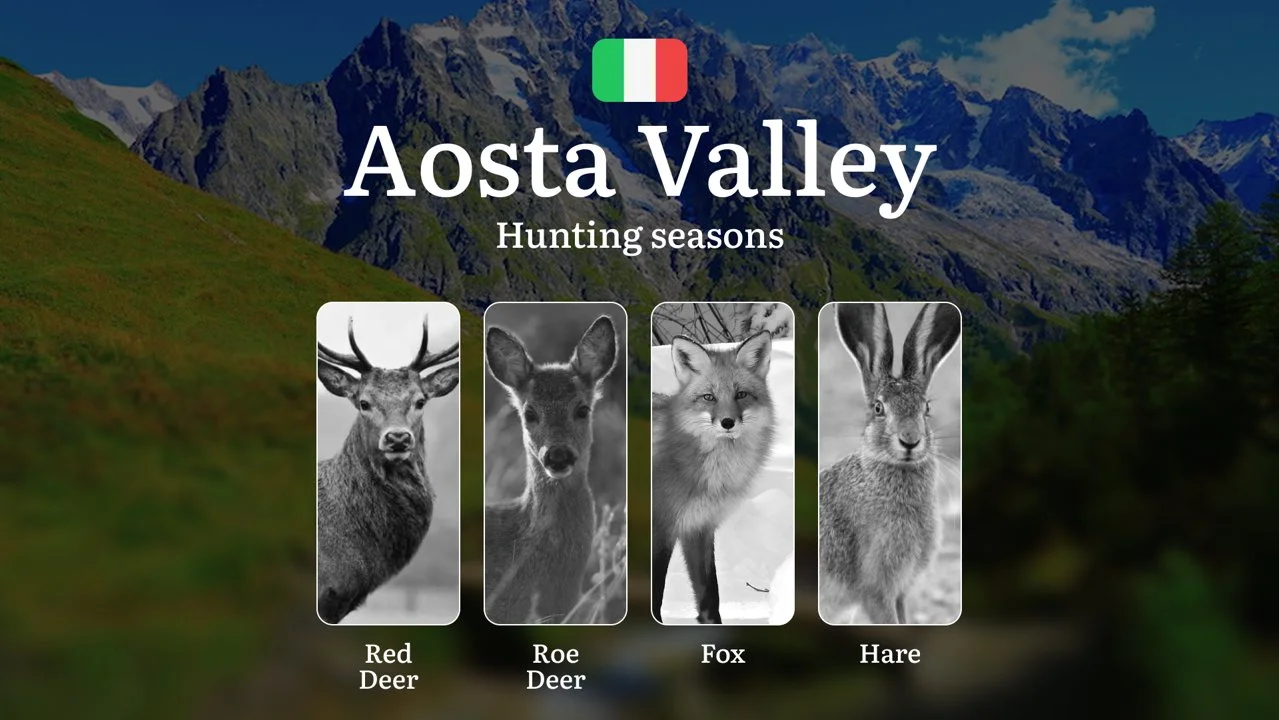 Valle d'Aosta Hunting Calendar: Exclusive Dates for Europe's Most Challenging Mountain Pursuits