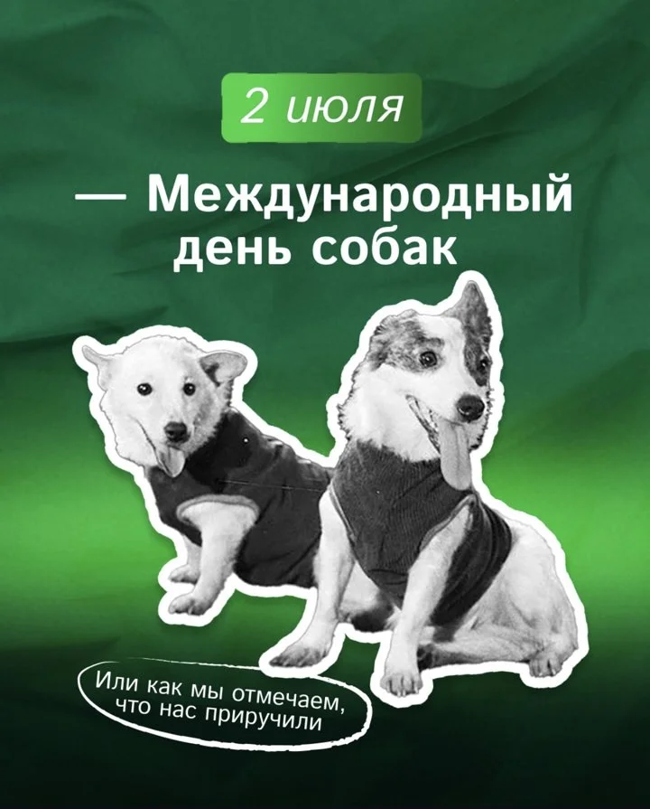2 июля международный день собак 