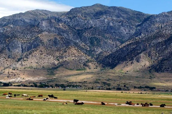 Book Cliffs Hunting 2026: Utah Secures 50,000 Acres of Public Land in Grand County