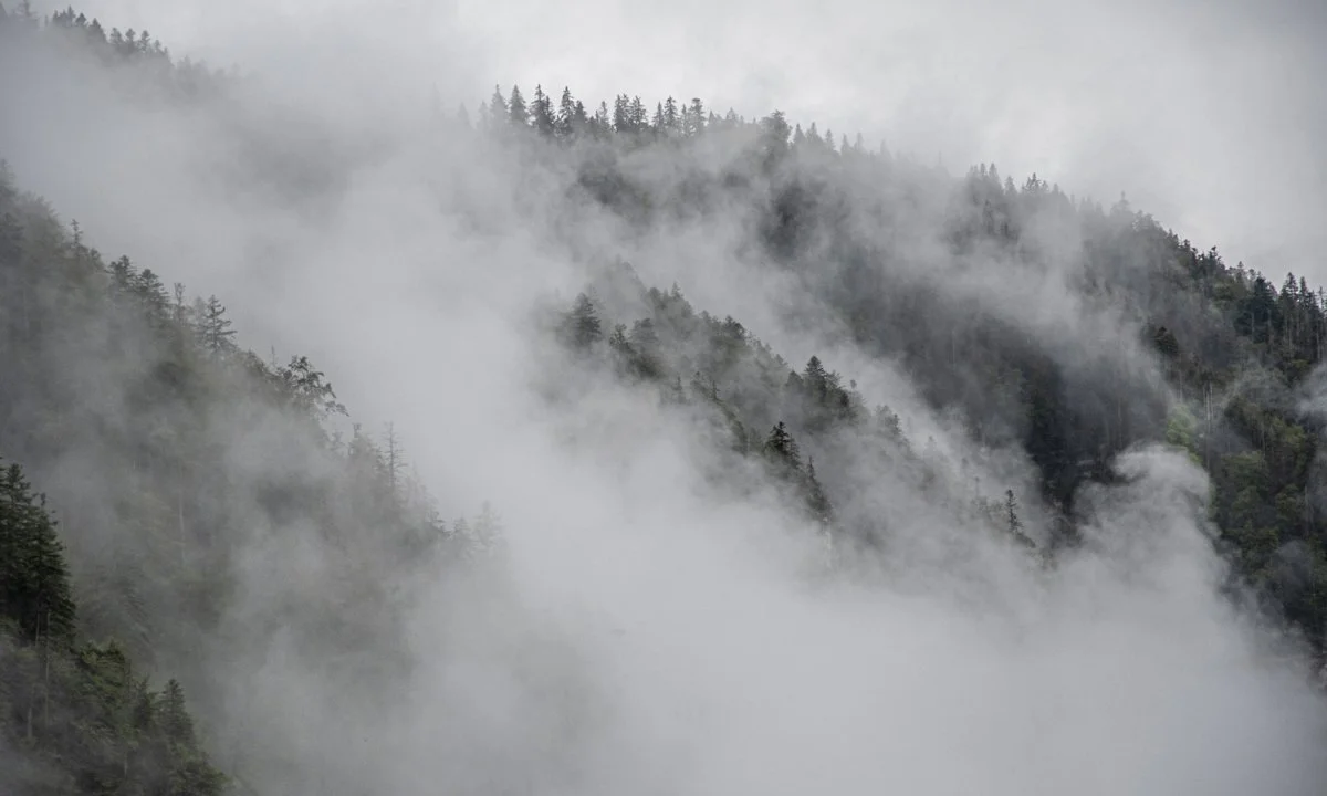 Jagd im Bezirk Kulm (Kanton Aargau), Schweiz: Eigenschaften, Bevölkerung, Jagdtechniken, Wildtiere, Jagdperioden, Organi… Jagd im Bezirk Kulm (Kanton Aargau), Schweiz: Eigenschaften, Bevölkerung, Jagdtechniken, Wildtiere, Jagdperioden, Organi…