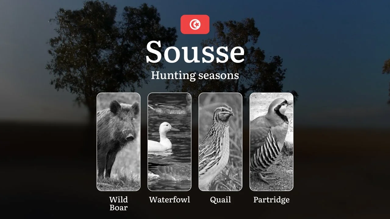 Hunting Seasons in SOUSSE: Opening and Closing Dates, Game Behavior, Licensing Process, Wildlife Protection Regulations and Practical Recommendations

Sousse, a picturesq