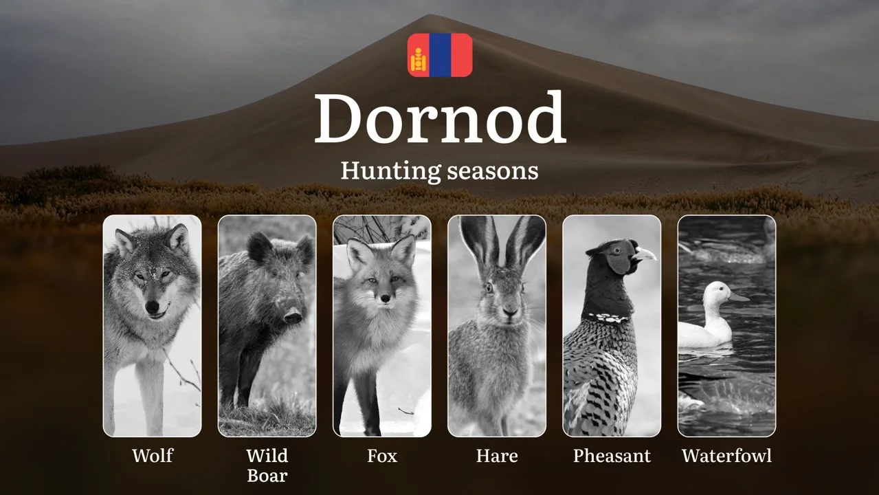 Hunting Periods and Local Rules in Dornod Province: Species You Can Hunt Throughout the Year, Seasonal Activity of Game,…