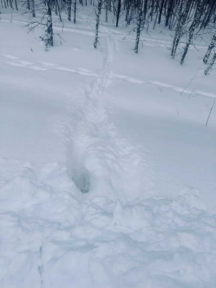 С днем Св.