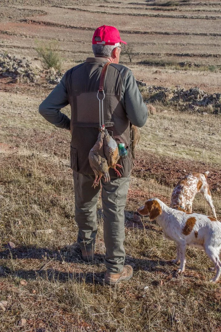 Grouse hunting in the Middle Atlas: a unique experience in the heart of Morocco