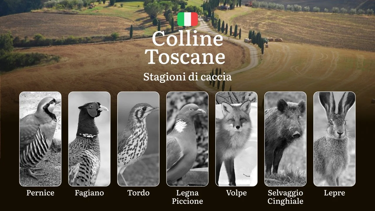 Tra i Vigneti e i Boschi delle Colline Toscane: Calendario di Caccia con Aperture e Zone Migliori
Le Colline Toscane , con il loro paesaggio variegato fatto di boschi, v