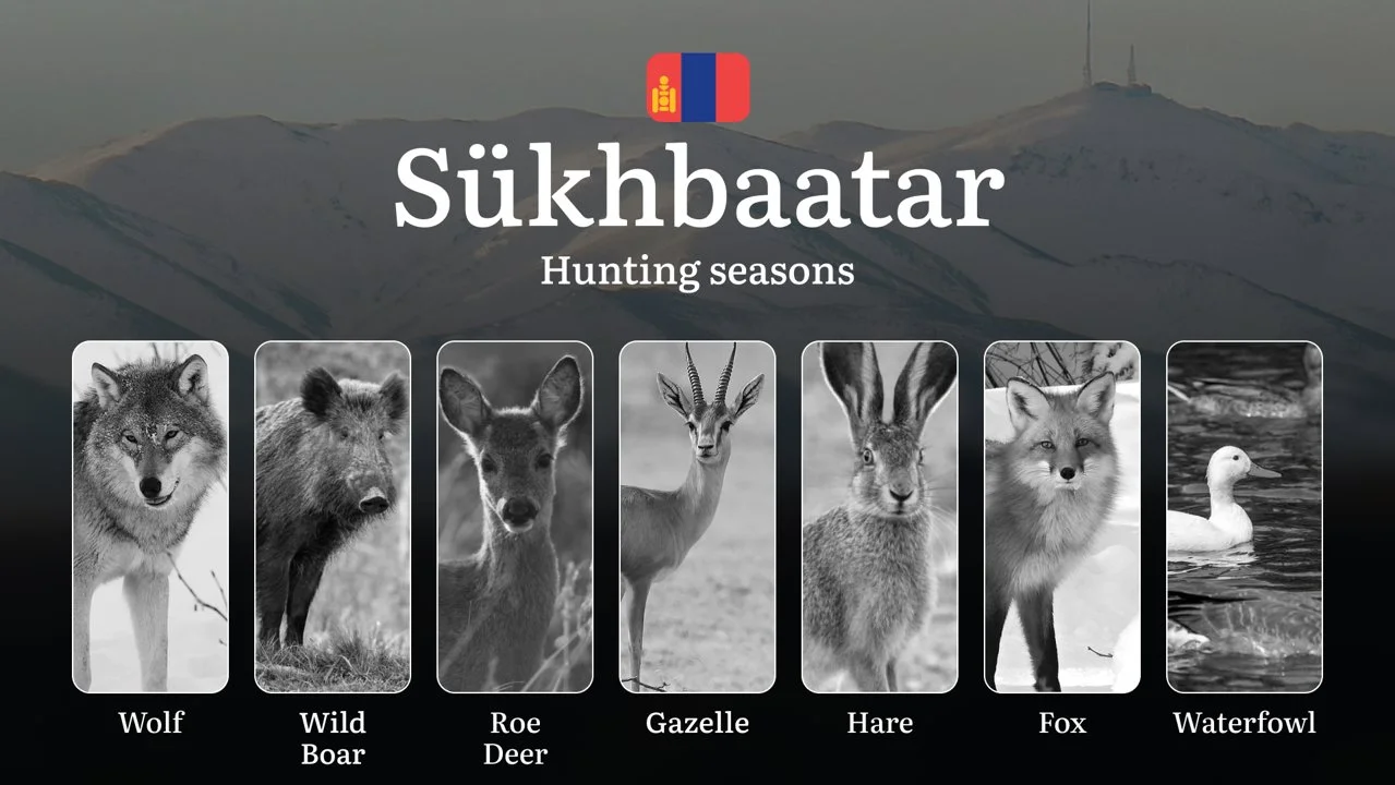 Hunting Seasons in Sükhbaatar Province: Restrictions, Bans, and Protected Species, Choosing Timing, Gear, and Tactics