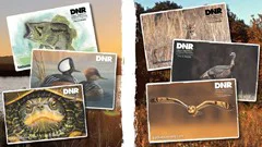 Indiana DNR Nature Art Contest 2026: Submit Your Wildlife Art for Calendars & Publications