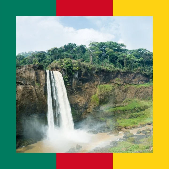 Cameroon: All About Hunting and Fishing, News, Forum. avatar Cameroon: All About Hunting and Fishing, News, Forum. avatar