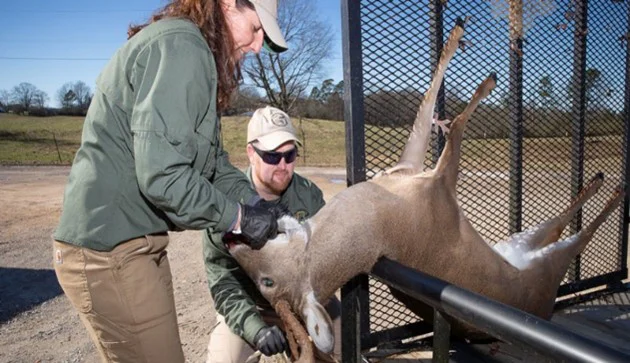 Virginia Hunting Regulations 2026-2027 Released: DWR Fishing Reports & Summer Bass Tips