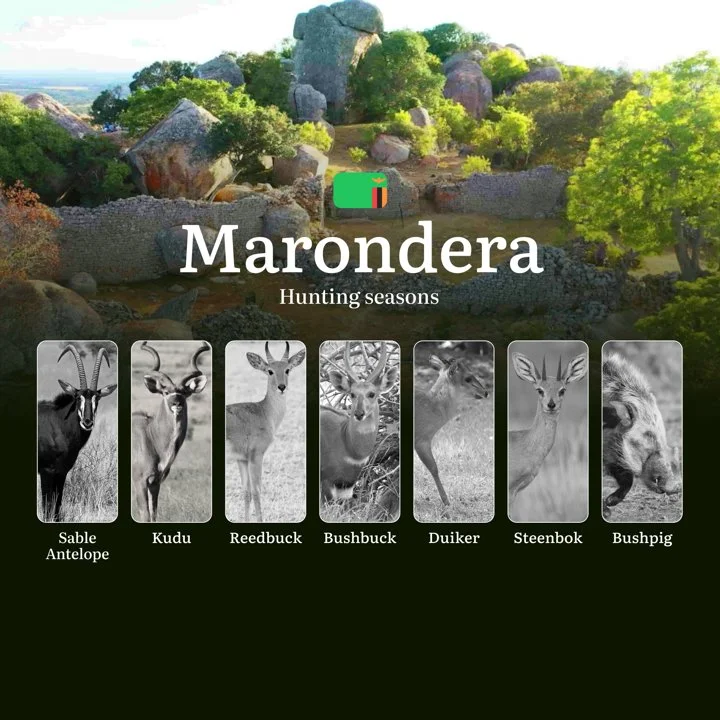 When the Highveld Beckons: Marondera's Premier Hunting Seasons and Calendar, Events Trophy Opportunities