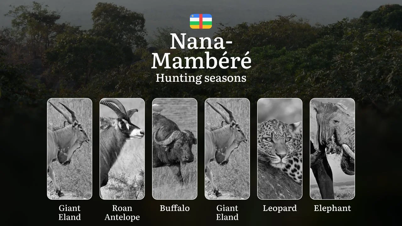 Hunting in Nana-Grébizi: Understanding Hunting Calendar, Legal Permits and Restrictions, Local Hunting Traditions