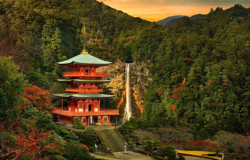 Japan
The numbers of licensed hunters in Japan, including those using snares and guns, is generally decreasing, while their average age is increasing. As of 2010, there w