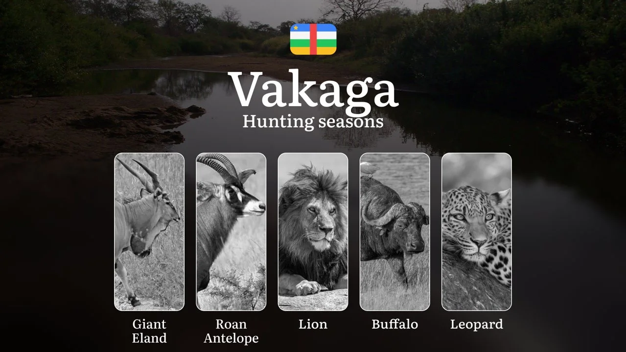 Hunting Laws and Seasons in Vakaga: General Hunting Rules, Permits, Restrictions & Time-Honored Events 
 
General Hunting Rules and Seasons in Vakaga
The Vakaga region in