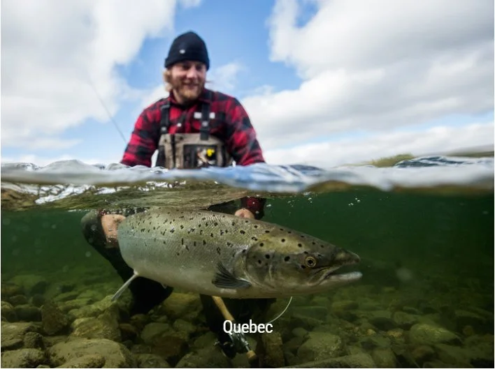 Canadian Federation of Outfitters (CFO - Canadian Federation of Outfitters) Canadian Federation of Outfitters (CFO - Canadian Federation of Outfitters)