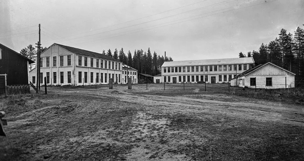 Ружья Tikka: 130 лет финского оружейного мастерства.