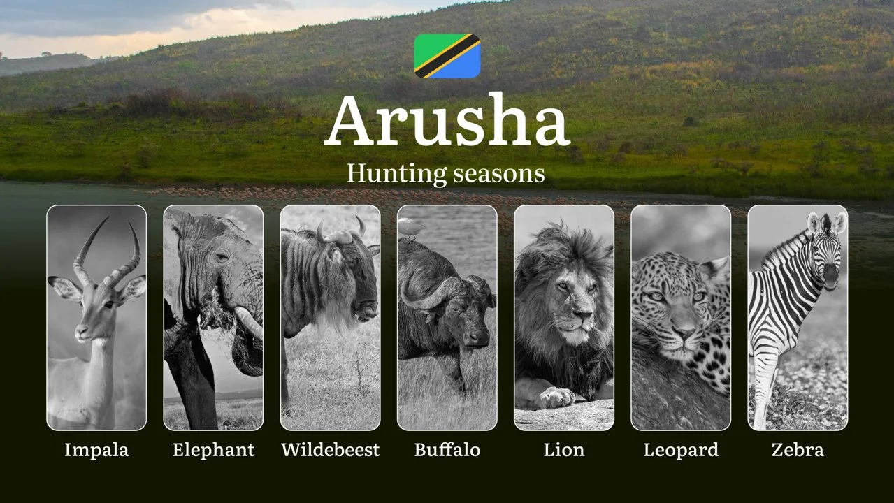 Hunting Calendar for Arusha: Prime Times for Big and Small Game, Restricted Areas, Regulations and Exemptions, Obtaining…