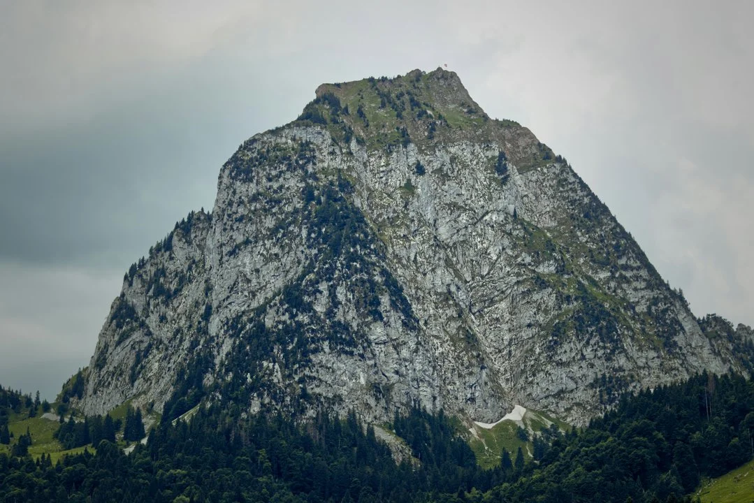 Jagd in Schellenberg, Liechtenstein: Interessante Fakten, Geografische Gegebenheiten, Jagdtechniken,  Jägerdemografie, Gesetze, Bräuche und Traditionen

Die Jagd in Schel
