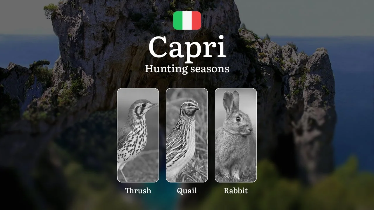 Capri's Hunting Laws: Seasonal Calendar, Permanent No-Hunt Zones, and Emergency Wildlife Exceptions
General Regulations and Hunting Periods on Capri
Hunting on the pict